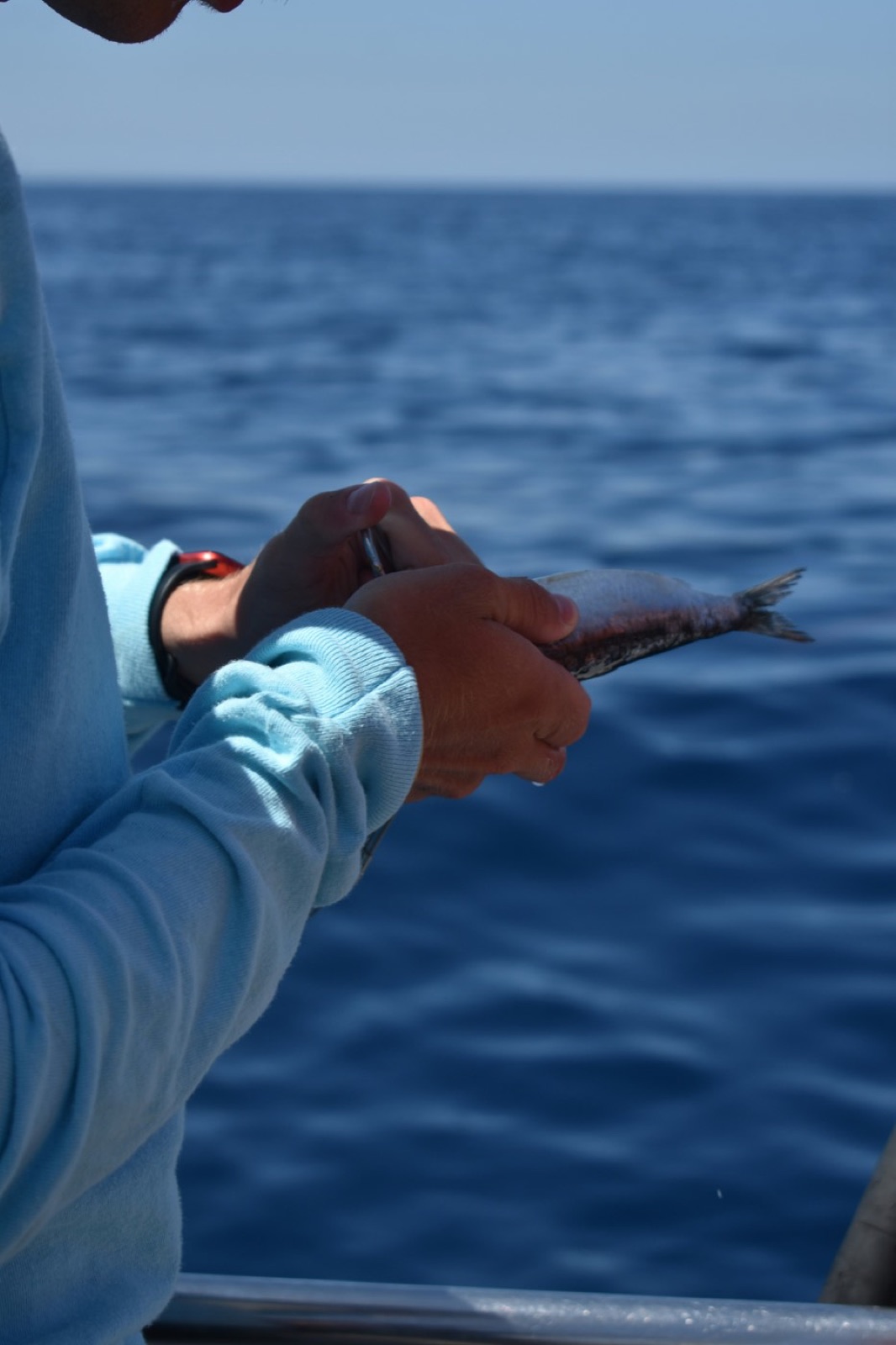 Guest reeling in a catch